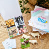 Names of Groups Collective Nouns Teddo Play Kit