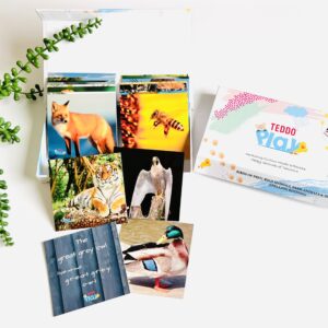 Early Years Animals Spellings Game Teddo Play